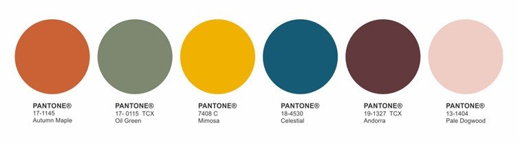 Paleta de Cores